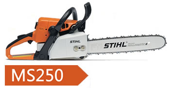 Stihl Chain Saw MS250